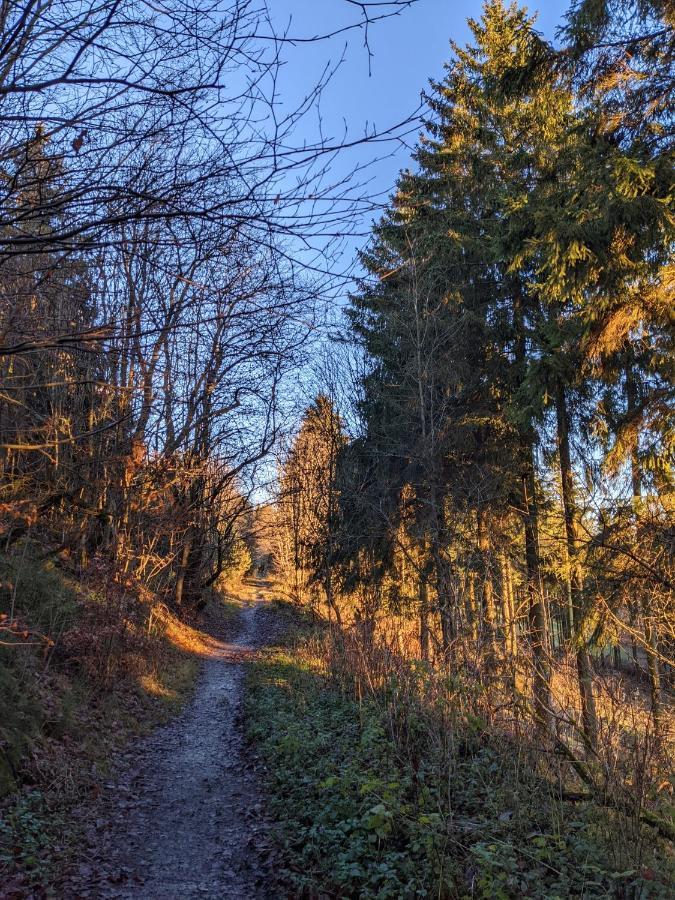 Zentrale Und Gemuetliche Ferienwohnung In Winterberg Nah An Der Natur Exteriér fotografie