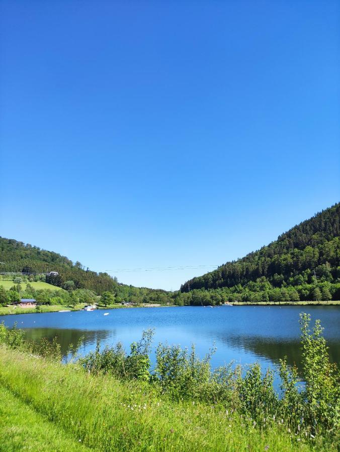 Zentrale Und Gemuetliche Ferienwohnung In Winterberg Nah An Der Natur Exteriér fotografie