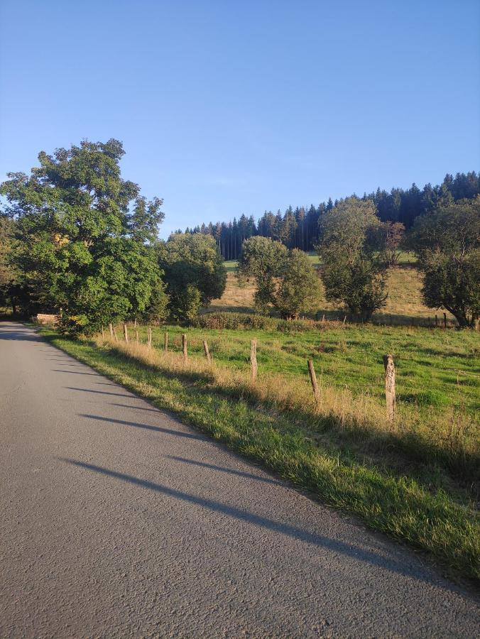 Zentrale Und Gemuetliche Ferienwohnung In Winterberg Nah An Der Natur Exteriér fotografie