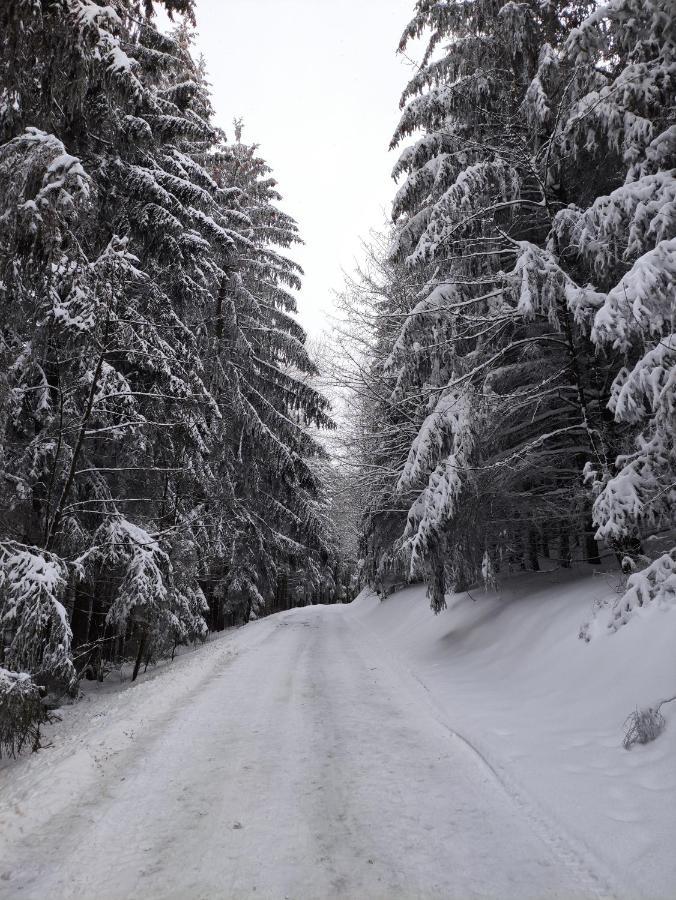Zentrale Und Gemuetliche Ferienwohnung In Winterberg Nah An Der Natur Exteriér fotografie