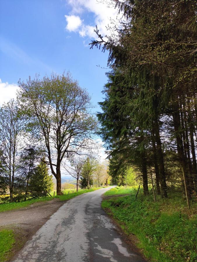 Zentrale Und Gemuetliche Ferienwohnung In Winterberg Nah An Der Natur Exteriér fotografie